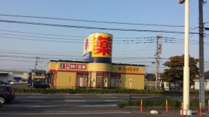 【ドラッグストア】ドラッグストアモリ山川店 795m 周辺環境