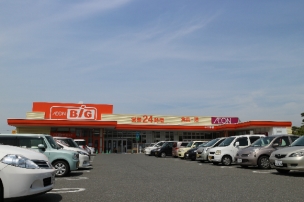 【ショッピング施設】ザ・ビッグ十三部店 1007m 周辺環境